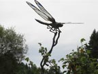 4-dragonfly by dale evers