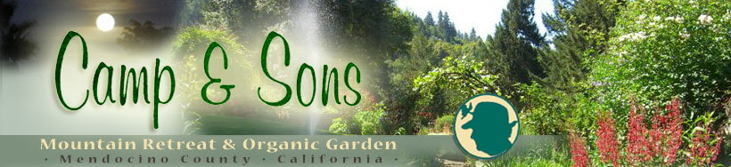 camp & sons - mountain retreat & organic garden - mendocino county - calif.